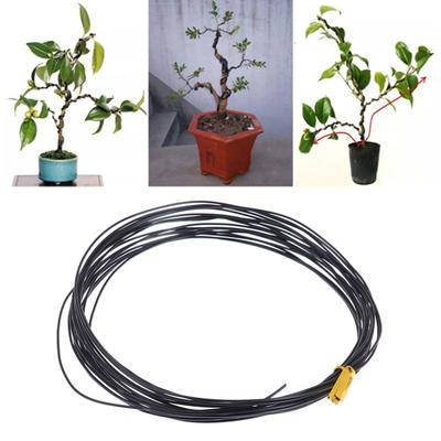 1 Roll 5m Bonsai Wire Bendable Reusable Rustproof Flexible Convenient Storage Plant Shape 6 Sizes Bonsai Branch Training Black Wire for Balcony