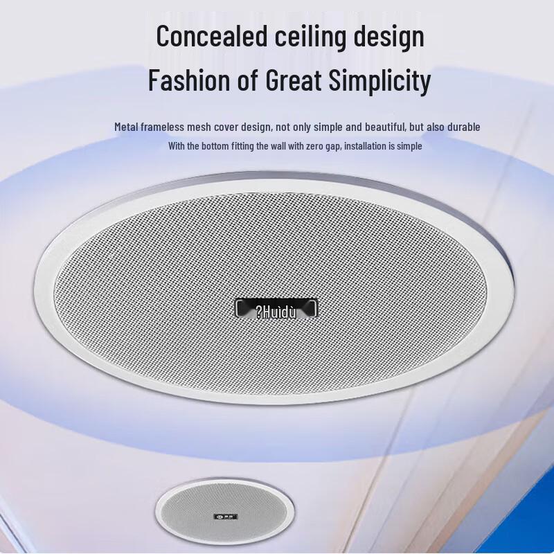 Huidu Professional Coaxial Ceiling Speaker CN Plug (adapter Included)