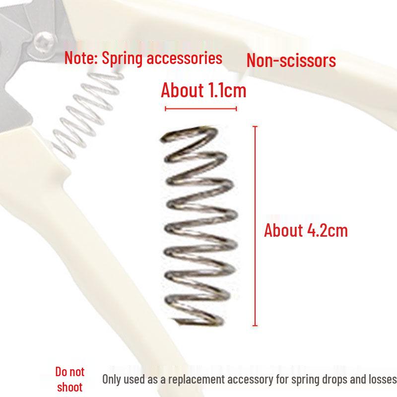 Florist's Special Pruning Shears for Flowers, Branches, Bonsai, and Fruit Picking