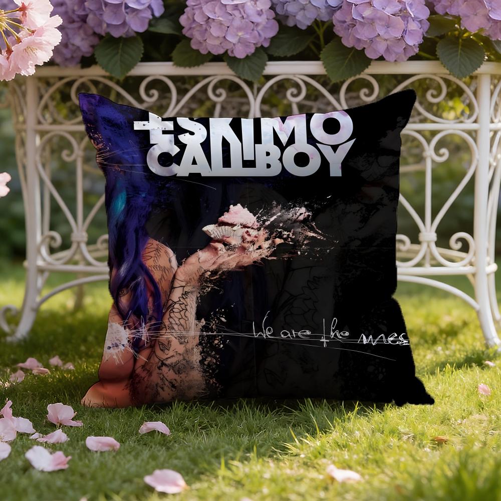 E-Electric Band C-Callboy Cushion Cover Home & Car Dual-Scene Pillow Cover: Reversible for Premium Comfort 30X30cm