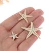 Sea Shells Size:0.5-3Cm 100Pcs Mini Starfish Craft Decoration Natural Sea Stars