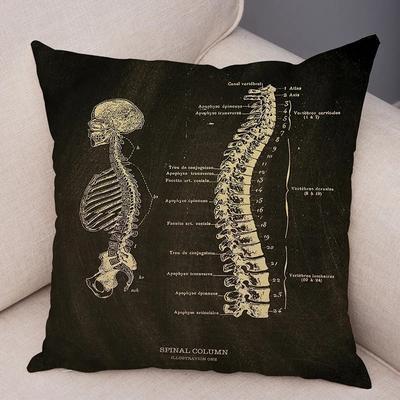Home Decor Anatomy-Themed Digital Printed Pillow Covers Pattern Cushion Cover Suitable For Sofa Bedroom Car Pillow Cover