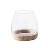 Round Transparent Glass Fish Tank Simple Glass Planter Hydroponic Vase  Office