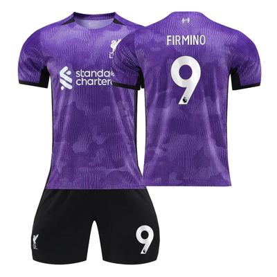 2023-24 Liverpool 2nd Away Training Purple Jersey Football Jerseys