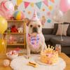 Adjustable Pet Birthday Caps Cute Dog Birthday Bib Cat Triangle Scarf  Puppy Costume