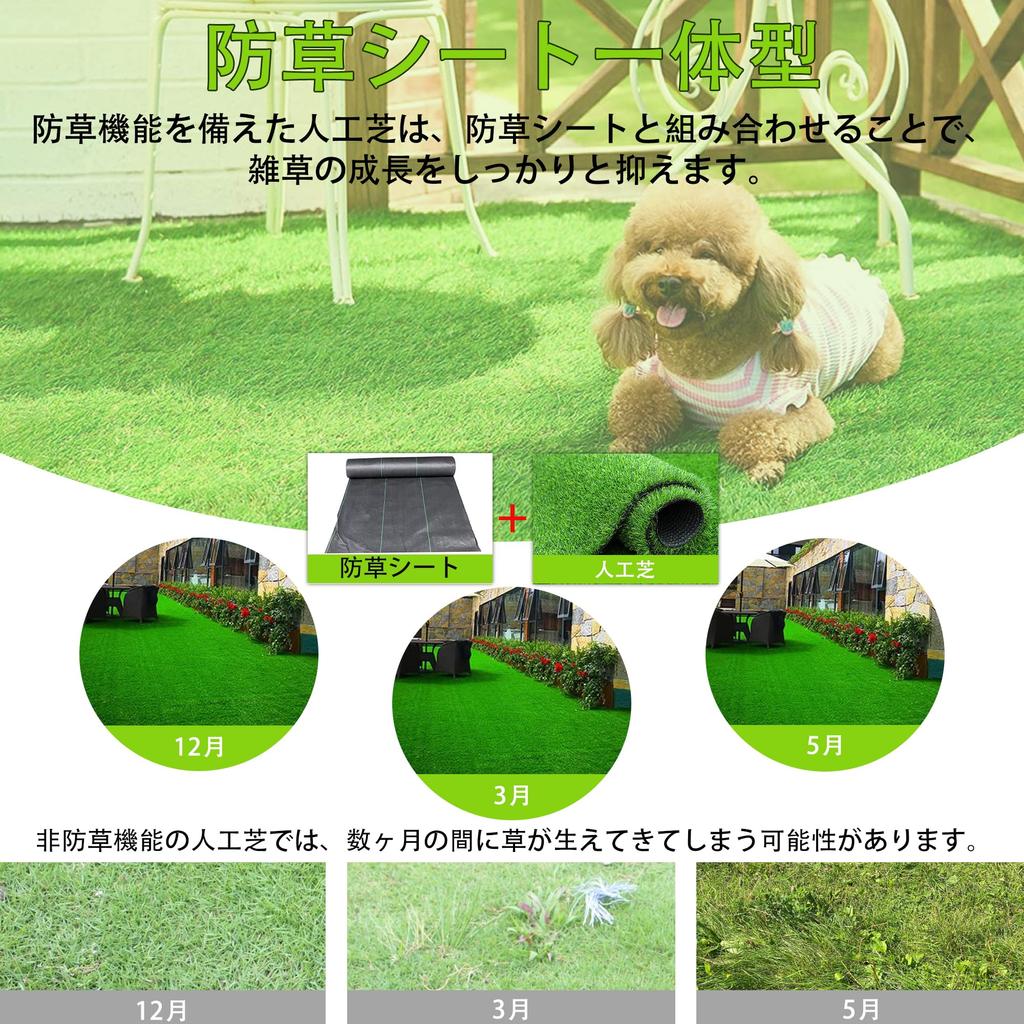 RsBarter Sztuczna Trawa 1m x 3m 20mm Zintegrowana Kontrola Chwastów Mata ze Sztucznej Trawy na Balkon Realistyczna Odporna na Pleśń Ognioodporna Lekka Wodoodporna Bezobsługowa