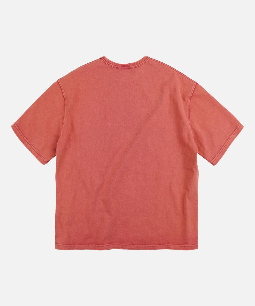 FRIZMWORKS Turtle Island Tee _ Rusty Red