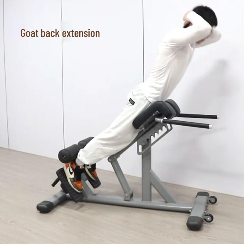 WF Weilikang Roman Chair Hyperextension Bench