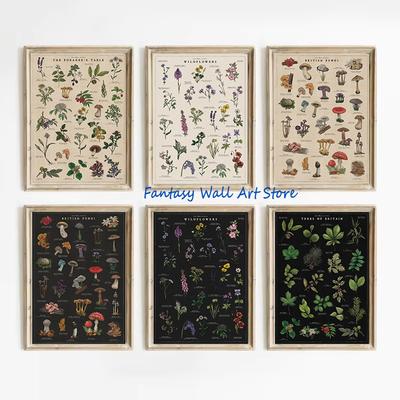 Retro Botanical Artworks British Trees Foraging Wild Food Mushrooms Wildflowers Poster Canvas Painting Wall Pictures Home Decor
