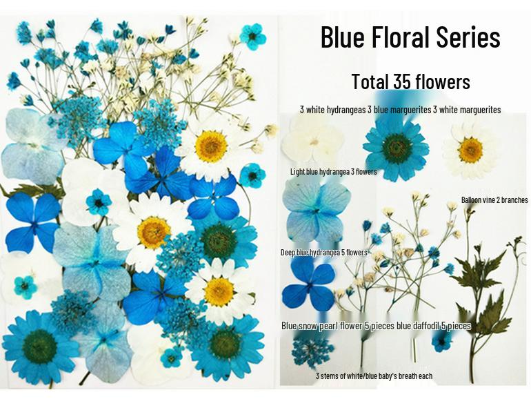 Handmade Kindergarten Collage: Real Dried Leaf and Flower Stickers for Face and Photo Decoration