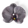 5pcs Simulated Film Butterfly Orchid Flower Head Petals Flower Accessories Headwear Hairclip Handmade Wedding Gift Decoration