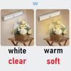 6 /10 Leds PIR Motion Sensor LED Cabinet Light Automatic Sensor Wardrobe Closet Lights Drawer Night Light Lamp for Indoor Lamp