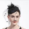 Elegantní Středověký Tvar Pírka Čelenka do Vlasů Dámská Karnevalová Čelenka pro Festivalovou Párty Vystoupení Unisex Vlasové Doplňky