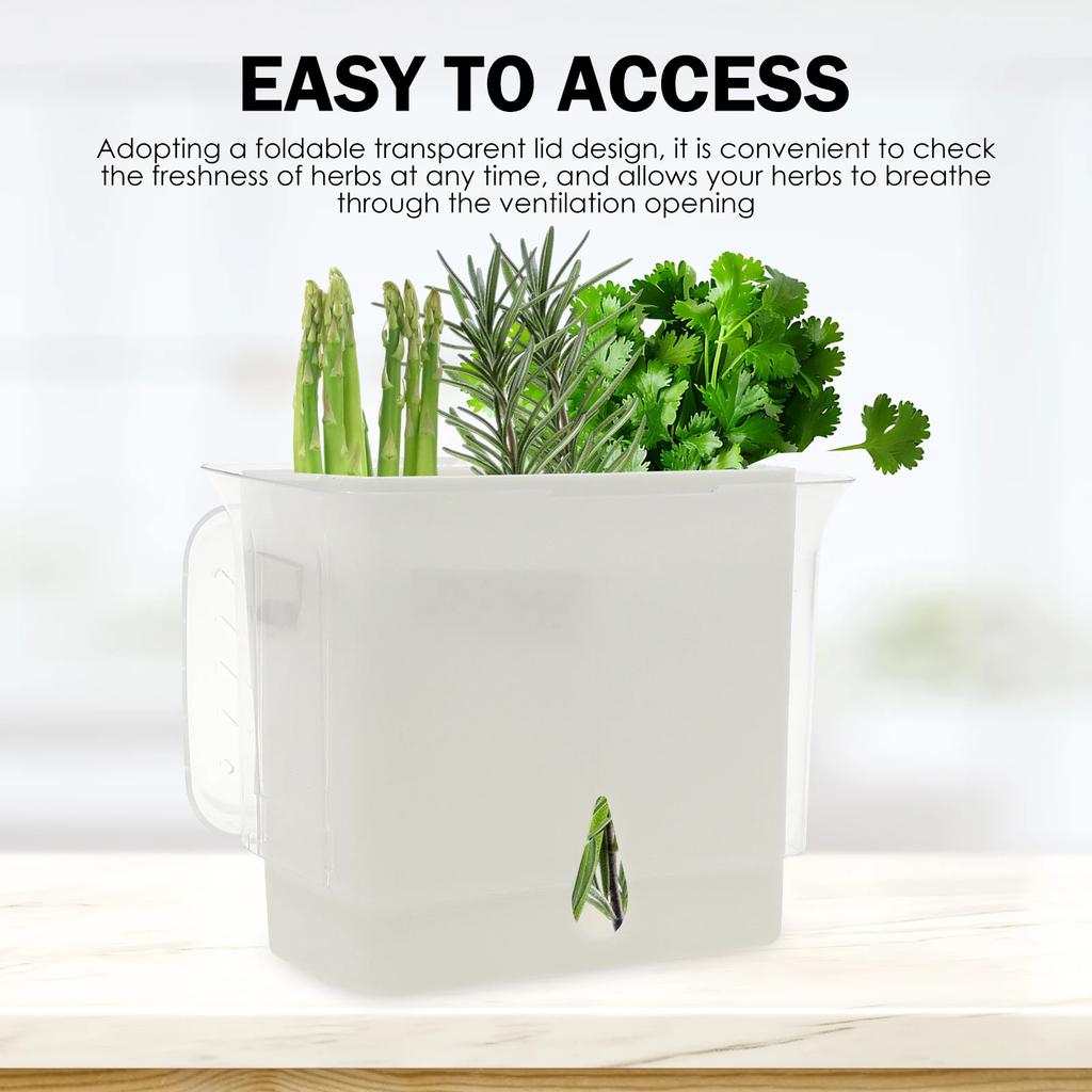 Clear Herb Saver Storage Container Airtight Fresh Herb Keeper for Refrigerator Vegetable Vanilla Bean Storage Box Herb Preserver