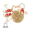 G80 V Bridle Chain, 5/16" X 3' Towing Chain Bridle with R Hooks, T Hooks, J Hooks and Grab Hooks