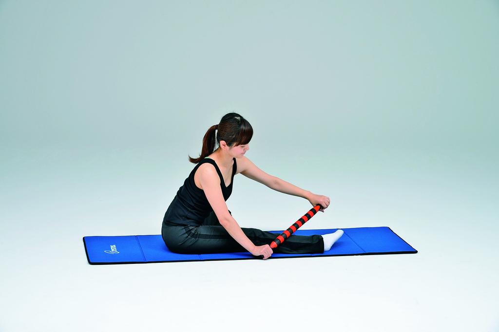 TOEI LIGHT Massagestab-Roller H7253