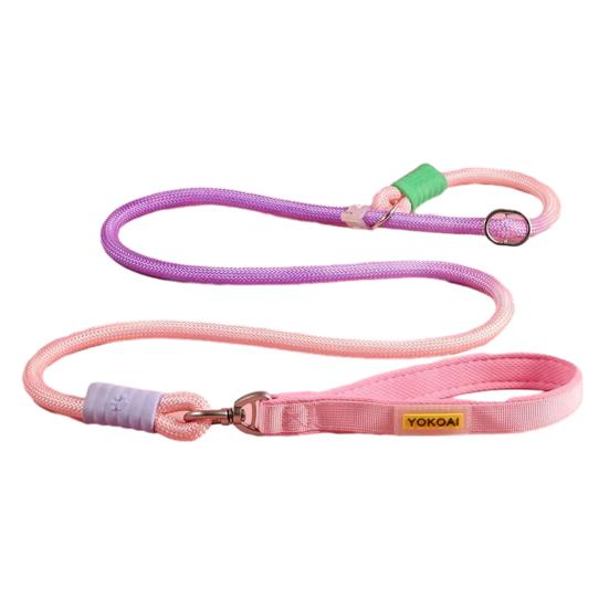 Slip Lead Dog Leash 5Ft Heavy Duty Rope Leash No Pull Pet Training Lead Slip Leash for Large Medium Dogs S