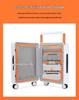 20-Inch Carry-On and 24-Inch Spinner Luggage with Lock for Men and Women