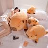 Capybara Hugging Pillow Plush Toy - Cute & Comfy Sleep Doll for Girls