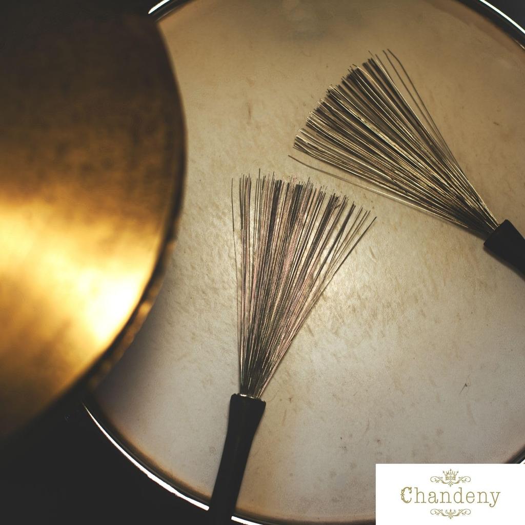 Chandini 9-Piece Drumstick and Brush Set for Jazz, Brush, and Slide Playing, Includes Bamboo Rod, Wire, and Nylon Drums, and Storage Bag