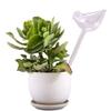 Tulip Automatic Drip Waterer for Potted Plants and Roses