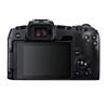 Canon EOS RP Full-Frame Mirrorless Camera with RF 24-105mm STM Lens (CN version)