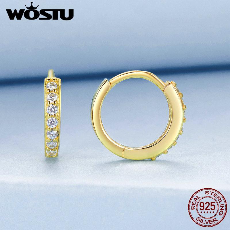 WOSTU 925 Sterling Silver Simple Zircon Round Hoop Earrings for Women European Classical Rock Hoops Wedding Jewelry Accessories