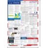 2026 Michigan State and Federal Labor Laws Poster - English Version - OSHA Workplace Compliant - UV Waterproof Laminated 24" x 36" - Mandatory