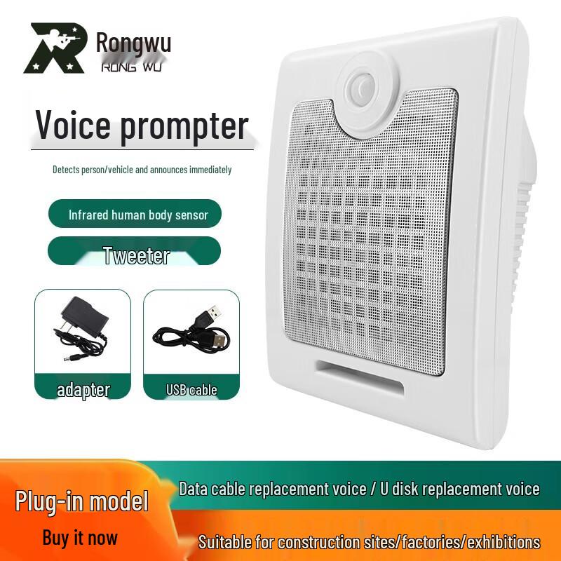 Rongwu Infrared Motion Sensor Voice Announcer
