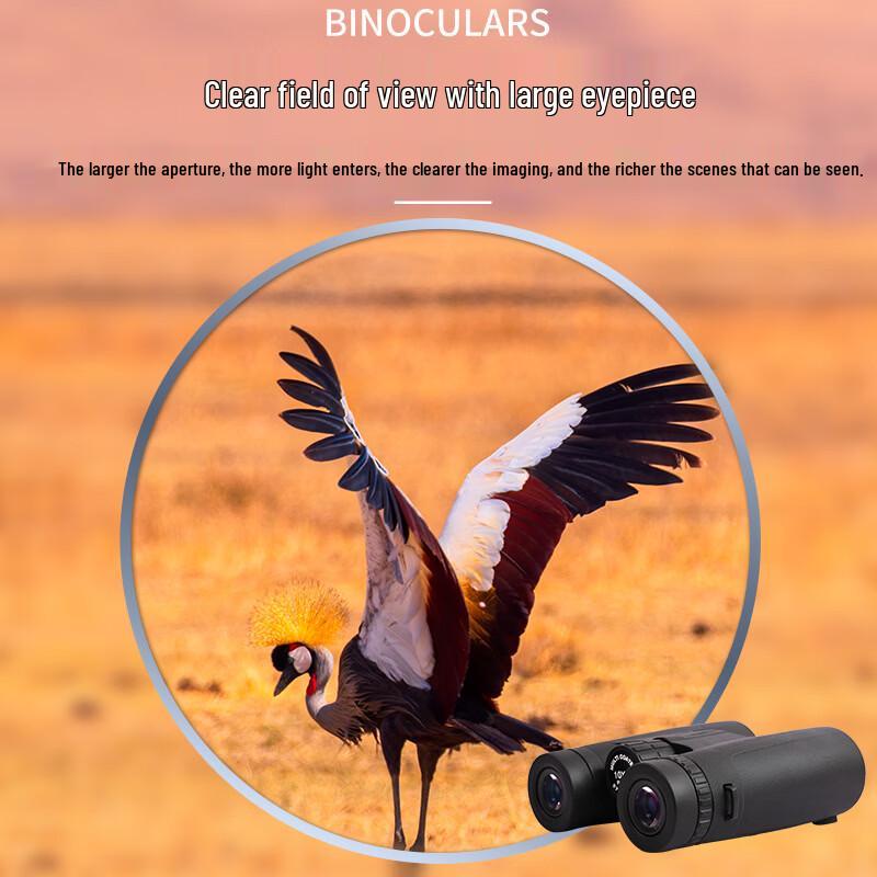Miling Portable HD Low-Light Night Vision Binoculars 10x42