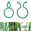 100pcs  Horticultural Plastic Fixing Buckle Tool, Vine Hook Climbing Vine Buckle, Convenient Stem Binding Bracket Accessories