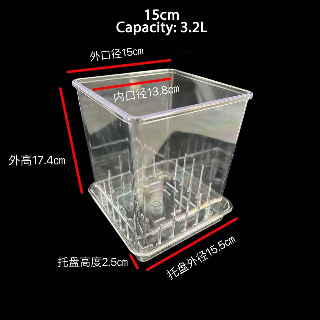 Mini Transparent Flowerpot Phalaenopsis Succulents Breathable Vase with Tray Plastic Seeding Nursery Pot for Home Window Decors