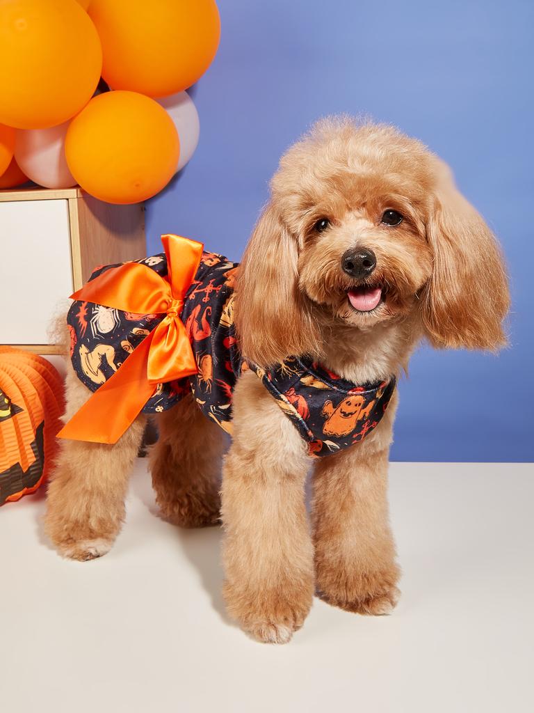 Halloween Lightweight Velvet Clothes Dog Costume Puppy Dress Doggie Party Girl One Piece with Bowknot Holiday Cat Outfits Black