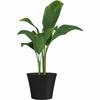 Plant Pot Garden ID Black 40 X 34 Cm