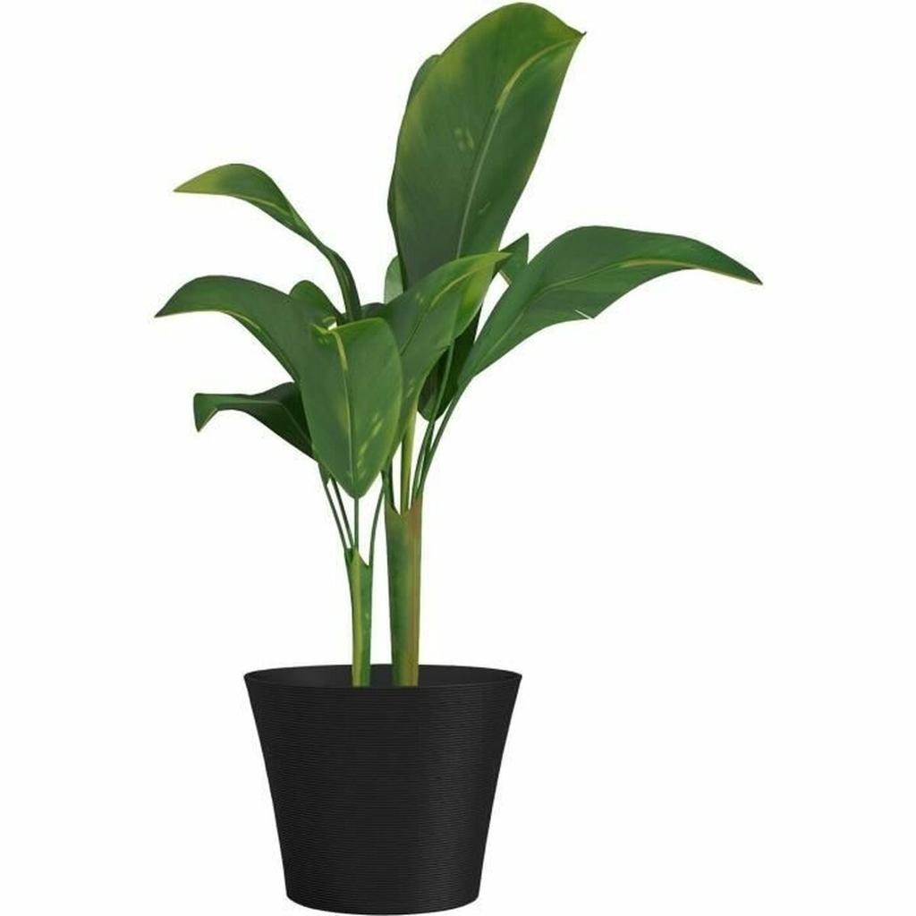 Plant Pot Garden ID Black 40 X 34 Cm