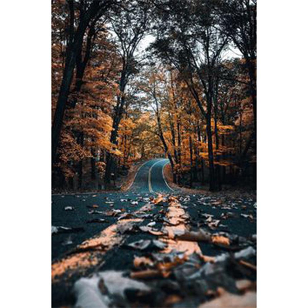 

DIY Алмазная картина Красивый вид Набор для вышивки крестом Мозаичное искусство Алмазная картина Полный круг Алмазное украшение для дома Round 20x30cm