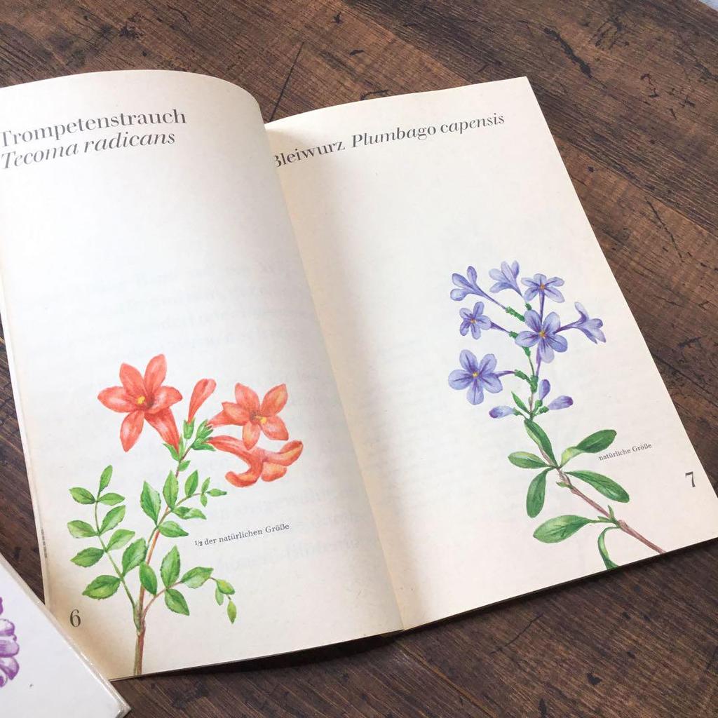 [USED] Plant encyclopedia, old German books, botanical art, junk journals