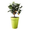 ELHO Pot de fleur Rond Loft Urban - Ø 34 x 45,6 cm - 23 l - Gris anthracite