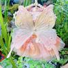 Dog Clothes Summer Thin Cat Princess Dress Rainbow Butterfly Wings Colorful Fluffy Dress Small Dog Teddy Dress