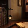Hanging Night Light Vintage Library Lantern Light, Magic Reading Corner Lamp, Decorative Dark Fantasy Decor Bookshelf Lighting for Shelf Desk,
