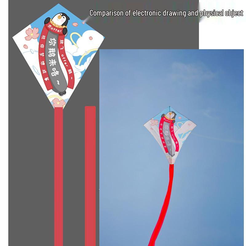 Weifang Custom Adult Kites with Personalized Design and Logo Printing