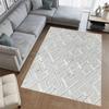 Washable Printed Carpet RVG0753