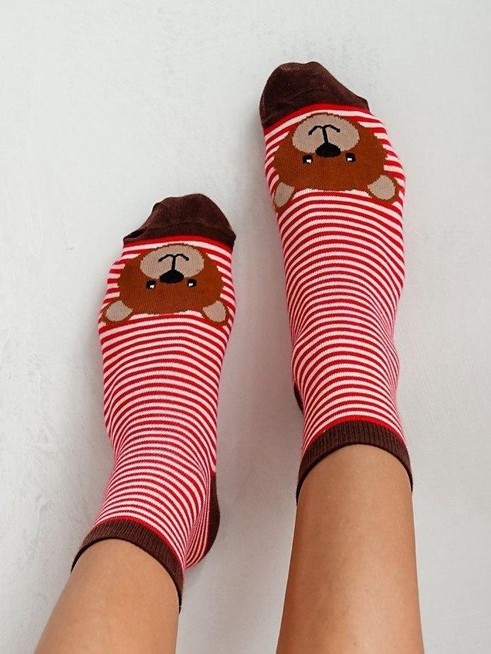 Skarpety Milena 0200 Paski z dużym Misiem 37-41 Milena