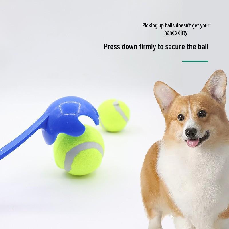 Hundeerziehung Tennisstock Spielzeug für draußen