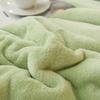 Thick Blanket Lamb Wool Warm Sleeping Double Side Microfiber Flannel Fleece Blankets for Bed Cozy Comfortable Super Soft Quilt
