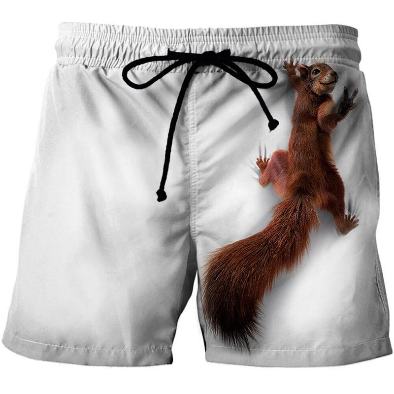 Funny Animal Squirrel Graphic Short Pants Summer Fashion Cute Pet 3D Printed Beach Shorts For Men Casual Trunks Gym Trousers