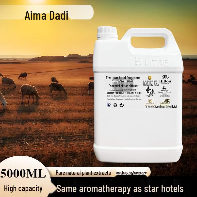 Aroma Essential Oil Diffuser: Commercial Fragrance Machine with 5L Refill for Hotels and Clubs