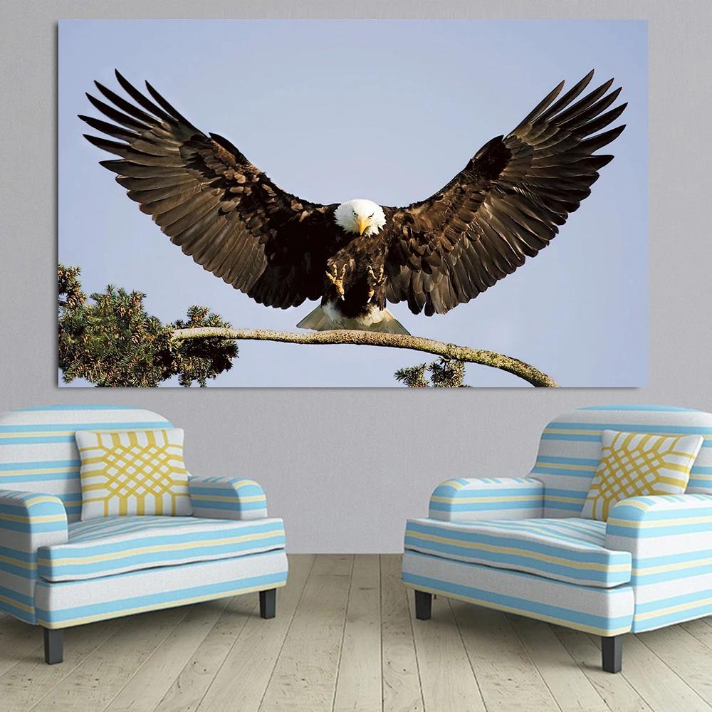 Eagle Roc Spreading Wings HD Canvas Print Poster Home Living Room Bedroom Decorative Painting Modern Simple Wall Art Animal