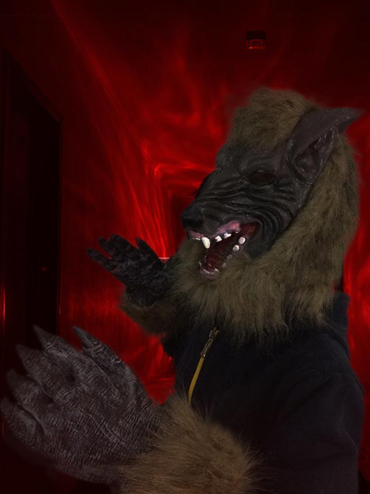 (Can Be Sold In Combination with sku210714TW05) Halloween Horror Demon Masquerade Props (Wolf Gloves)