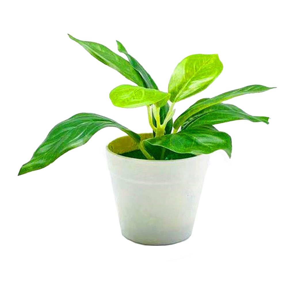 

Low Maintenance Greenery Artificial Green Plant Creative Home Decoration Crafted From Quality Materials Enhances Home Aesthetics